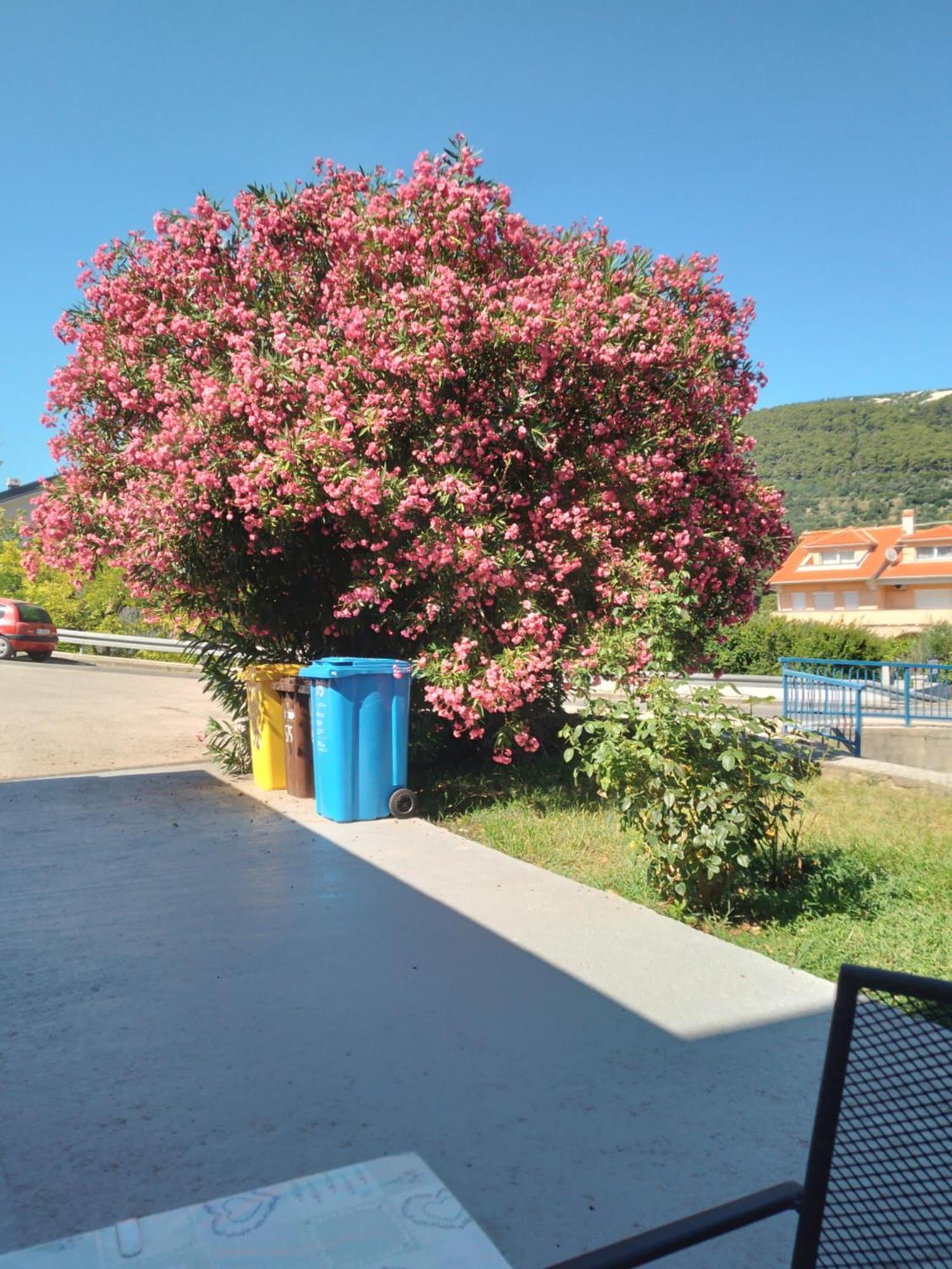 Ribaric Villa Banjol Exterior photo