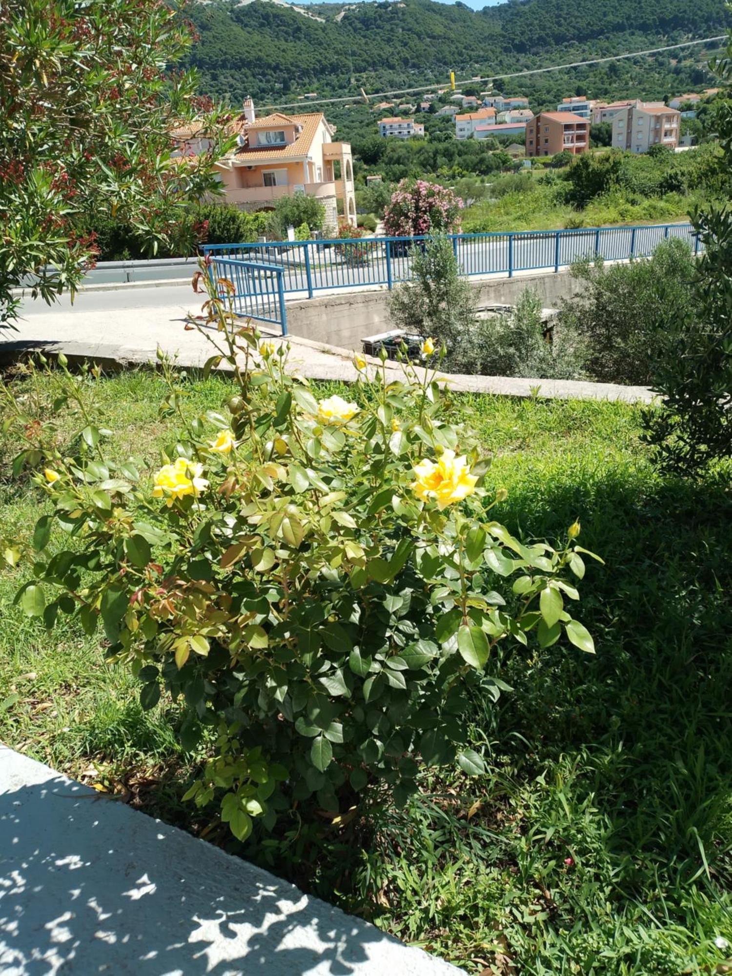 Ribaric Villa Banjol Exterior photo